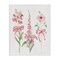 Stupell Industries Pink Cottage Floral Sprigs Canvas Design by Sally Swatland